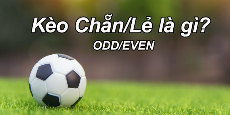 kèo chẵn lẻ