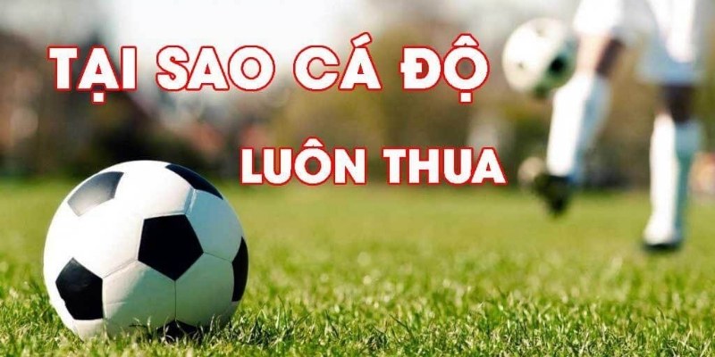 tại sao cá độ bóng đá luôn thua